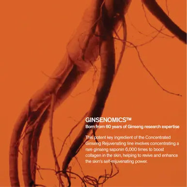 Sulwhasoo Concentrated Ginseng Rejuvenating Skincare Set